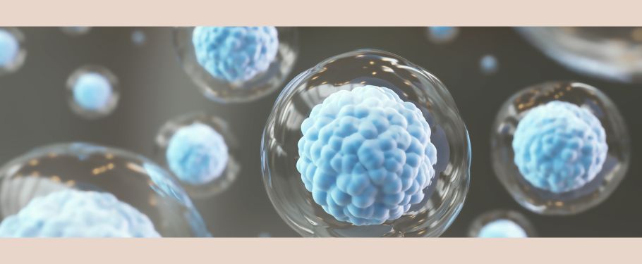 Ostatní užitečné manuály